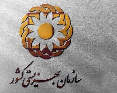 خبر فوری رئیس سازمان بهزیستی کشور: واریز کمک هزینه ۱.۵ میلیونی دولت به حساب خانوارها
