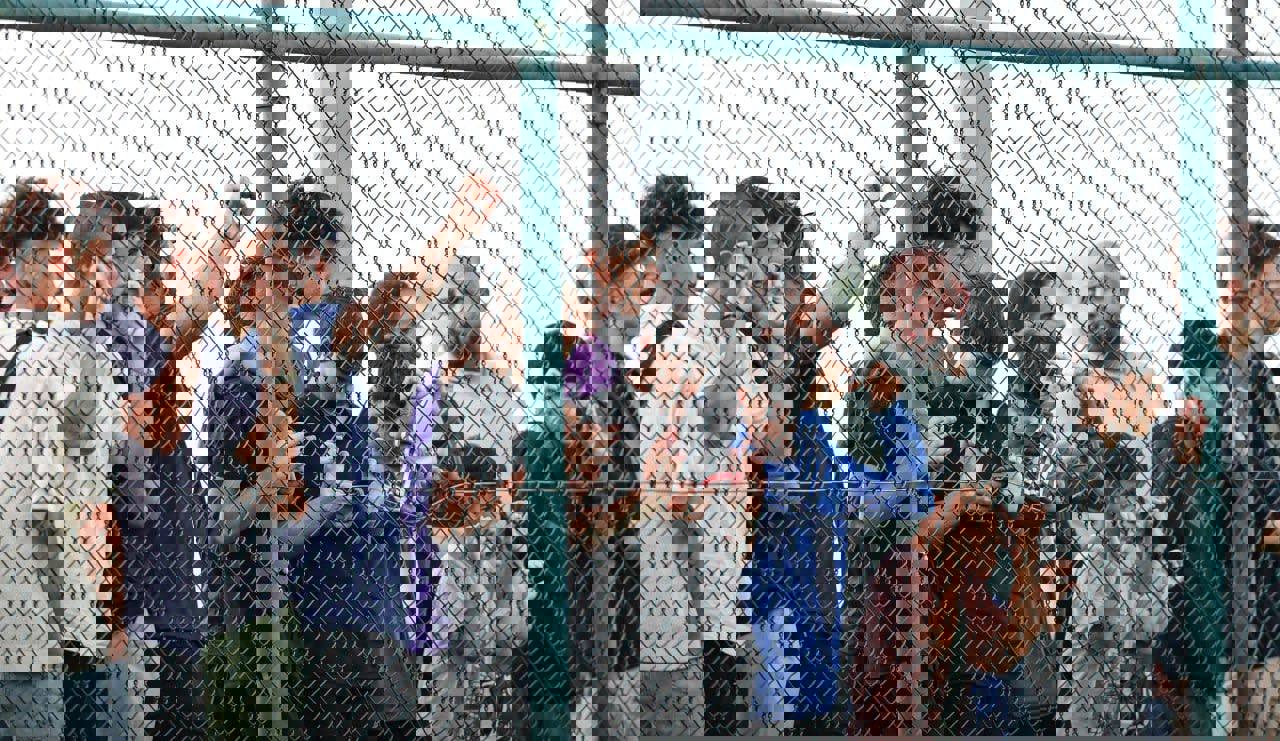 فوتبال